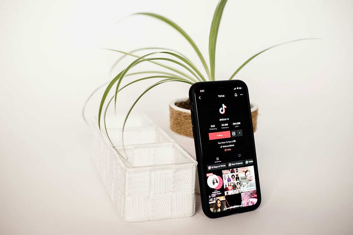 Smartphone preto exibindo o aplicativo do TikTok em tela cheia, apoiado sobre uma mesa branca ao lado de um vaso com planta verde e uma caixa organizadora de tecido branco.